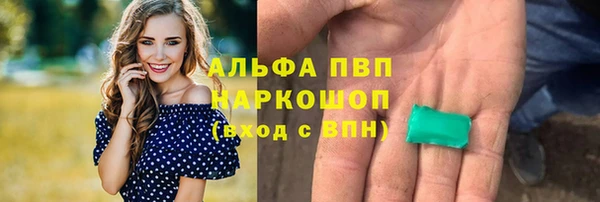 спиды Нефтекумск