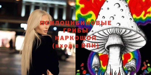 МДПВ Алзамай